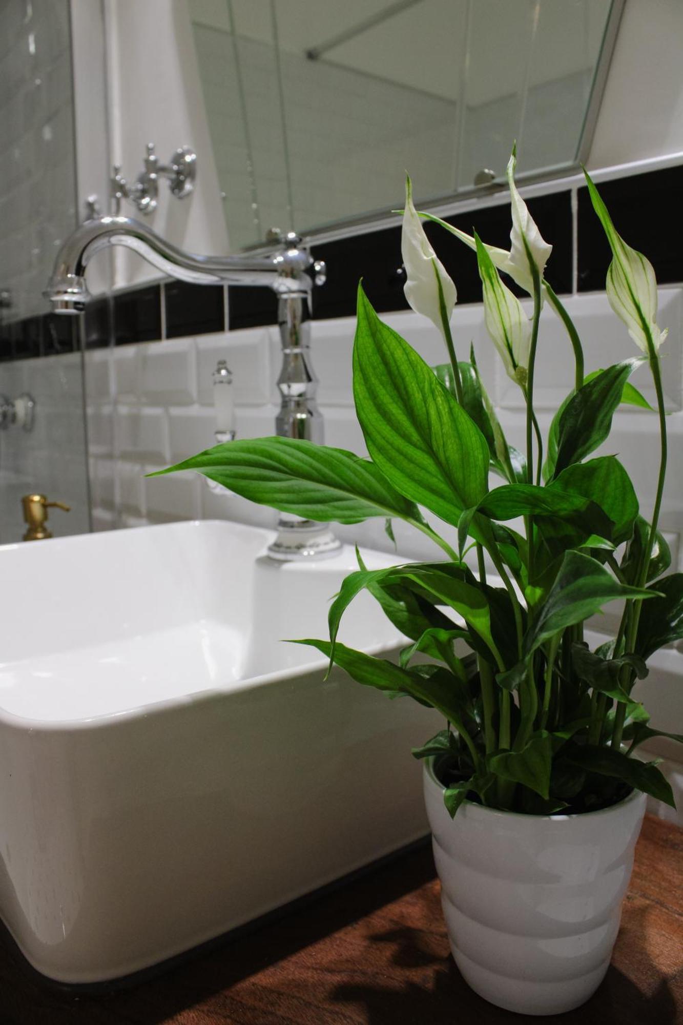 Madea Apartman Zagabria Esterno foto